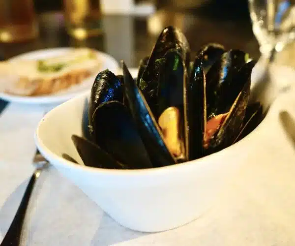 Steaming mussels in a white bowl